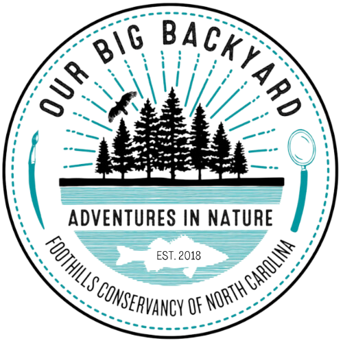 ecoEXPLORE Event: Discover Mammals! - logo